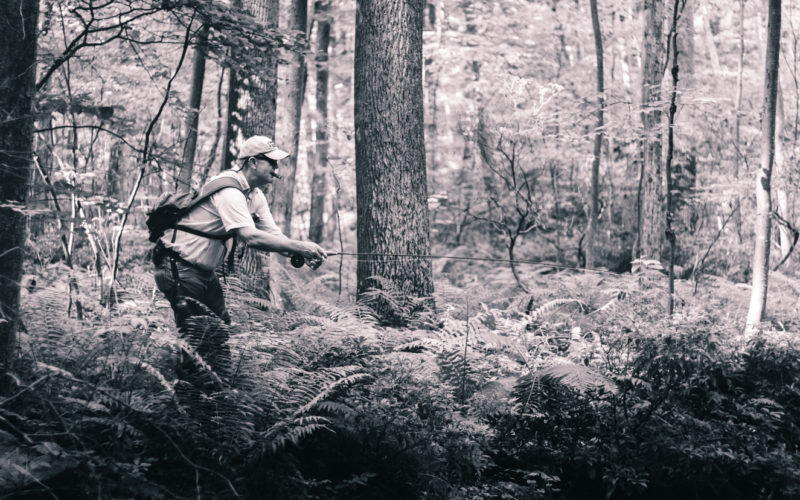 Man In Capefish Clothing Fly Fishing in Woods on the North Shore, MA